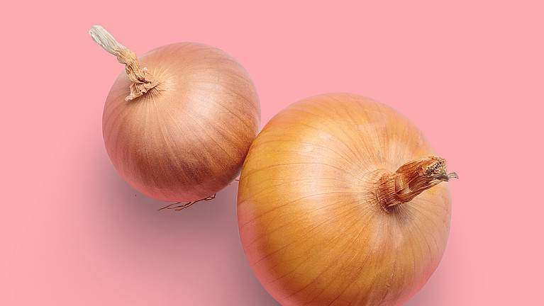 Zwei Zwiebeln auf pinkfarbenem Hintergrund.