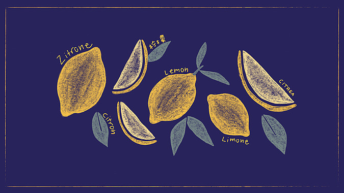 Gelbe illustrierte Zitronen auf blauem Grund - das GMF Wallpaper-Zitrone