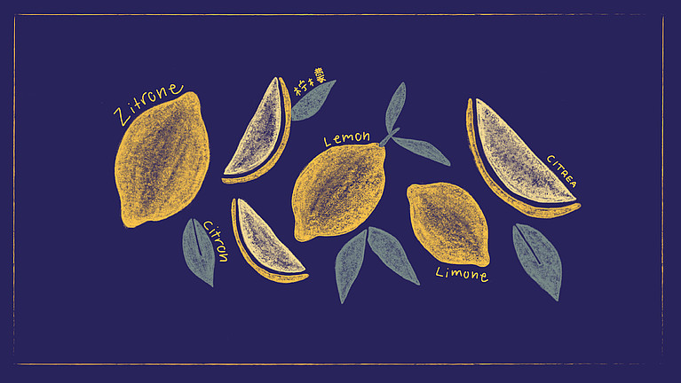Gelbe illustrierte Zitronen auf blauem Grund - das GMF Wallpaper-Zitrone