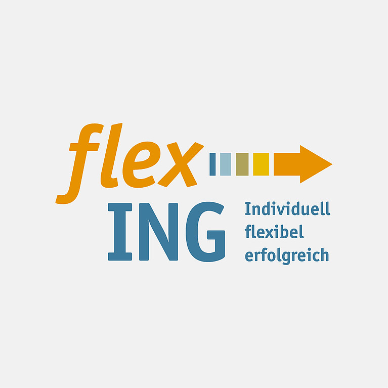 UDE Referenz Logo: flexING