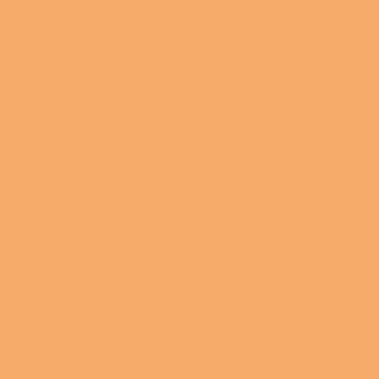 Urologium Farbschema Corporate Design Orange