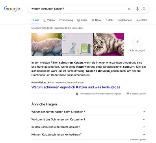 Structured Data Google Rich Snippets | FAQ oder Fragen und Antworten