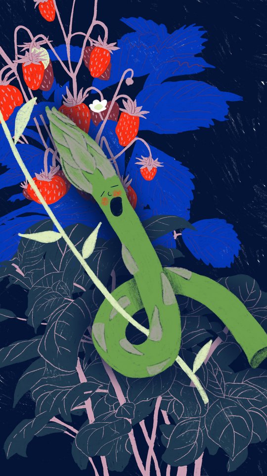 GMF Wallpaper Spargeltarzan Illustration grüner Spargel mit Gesicht, im Hintergrund Erdbeeren 