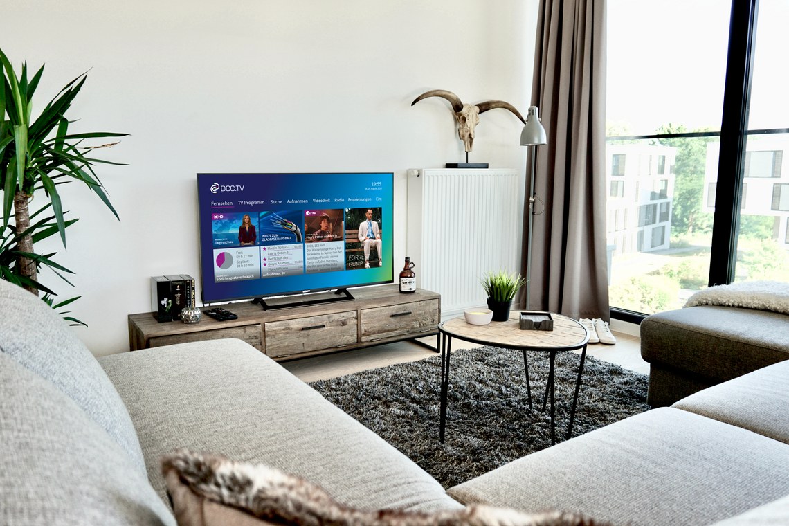 Modernes Wohnzimmer mit grauem Sofa, Fernseher, Pflanze und Fenster mit Vorhang.