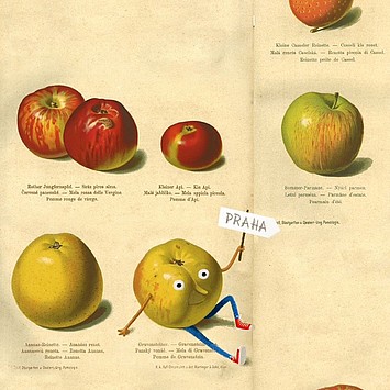 GMF Wallpaper Apfel März Header mit illustrierten Äpfeln