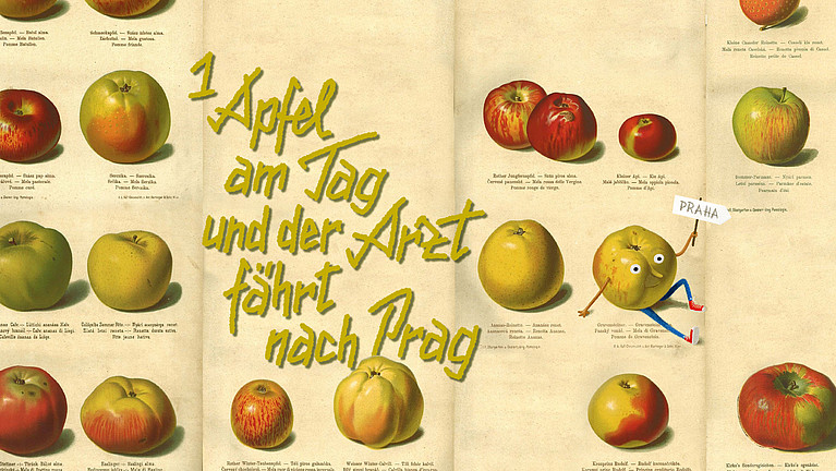 GMF Wallpaper Apfel März im Querformat mit illustrierten Äpfeln und Text