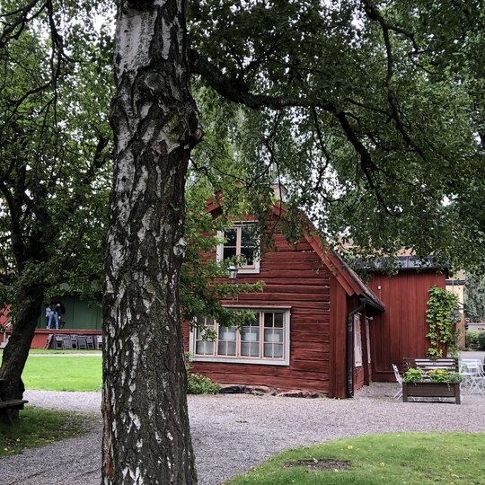 Baum und Holzhaus Schweden