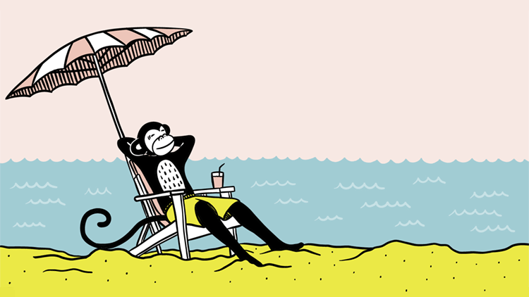 Äffchen relaxt unter Sonnenschirm am Strand.
